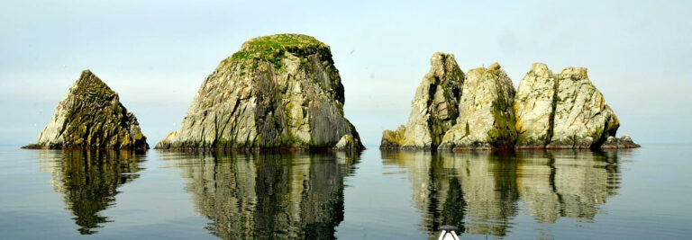 Allison-Dyer,-Shag-Rocks,-Trinity-Bay
